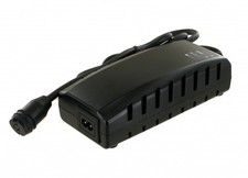 Pour Bulls Green Mover Lacuba